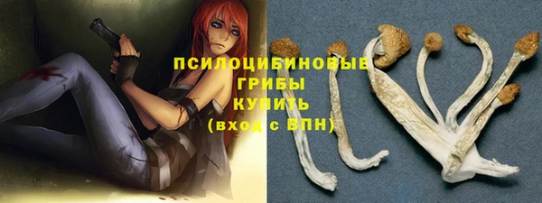мяу мяу мука Алзамай