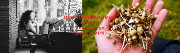 шишки Алексин