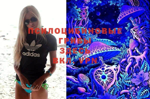 шишки Алексин