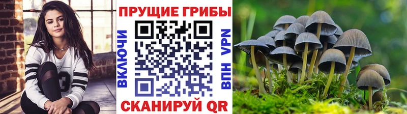 Галлюциногенные грибы мухоморы  дарк нет формула  Арск 