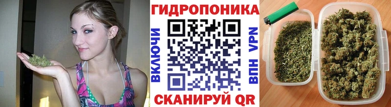 Марихуана конопля Арск